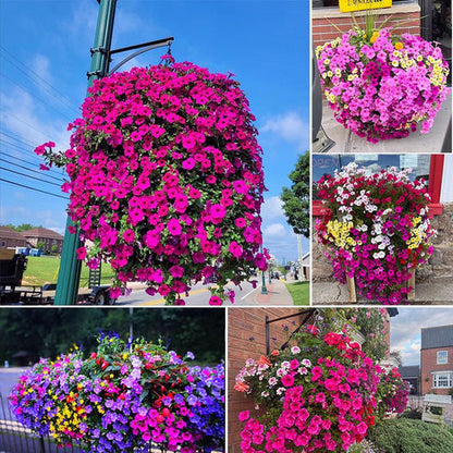 Last Day 50% OFF--💎UV Simulation Artificial flower