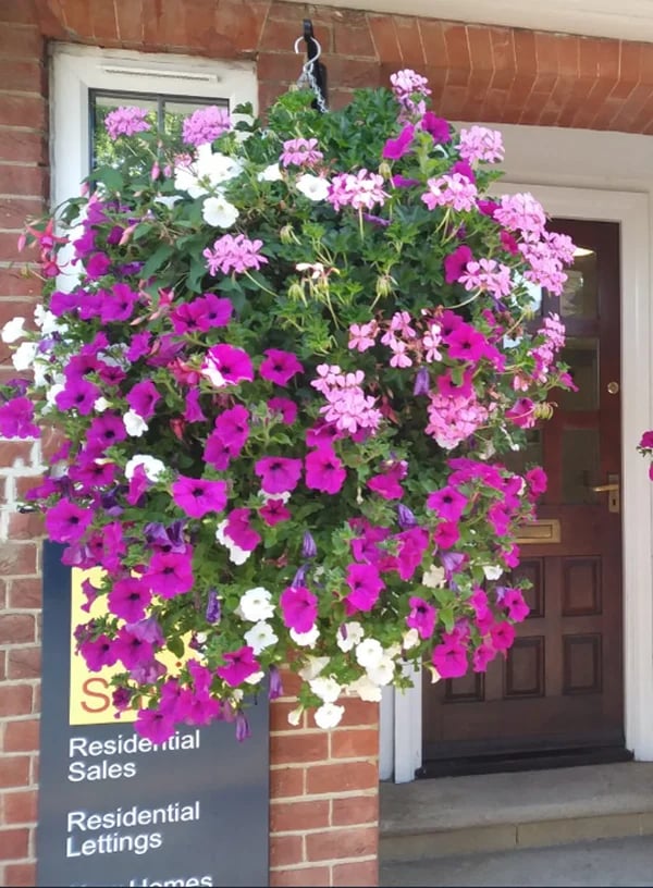 Last Day 50% OFF--💎UV Simulation Artificial flower