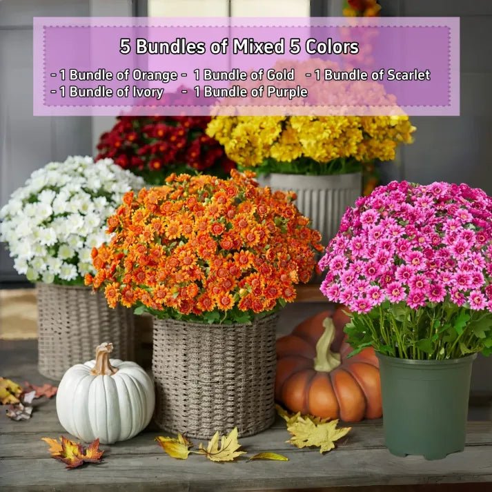 🐈🌷🇺🇸GFOUK®Charming Blossom Seeds - cikryna