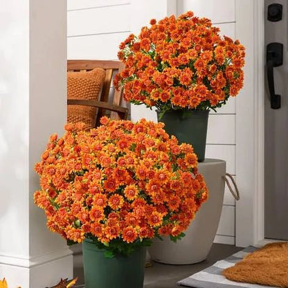 🐈🌷🇺🇸GFOUK®Charming Blossom Seeds - cikryna