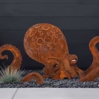dhh-0623-Squid Garden Sculpture
